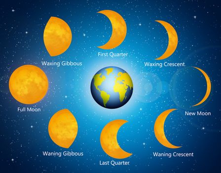 illustration of moon phases