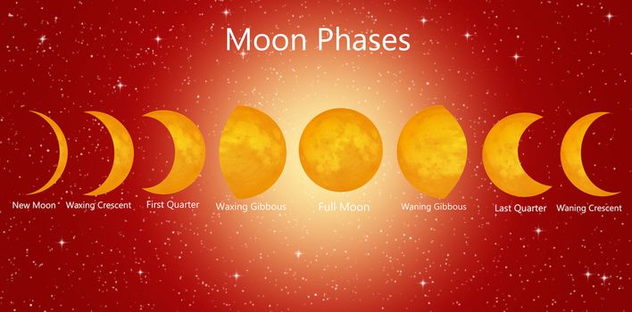 illustration of moon phases