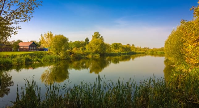 Forest Reflection On Lake River