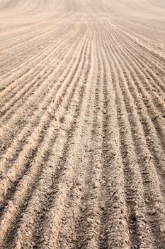 Background of newly plowed field ready for new crops. Ploughed field in autumn. Farm, agricultural background