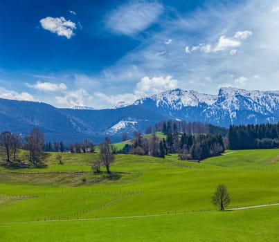 German idyllic pastoral countryside in spring with Alps in background. Bavaria, Germany