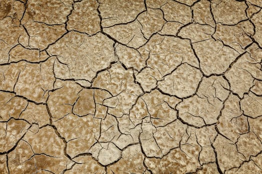 Cracked earth background texture