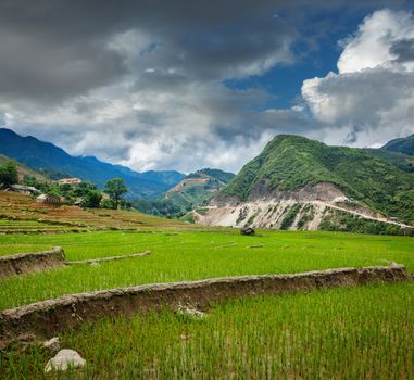 Rice field terraces (rice paddy). Near Cat Cat village, near Sapa, Vietnam