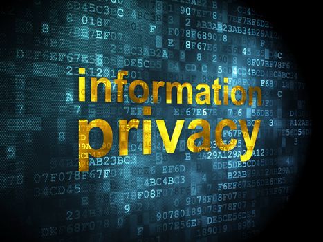 Privacy concept: pixelated words Information Privacy on digital background, 3d render