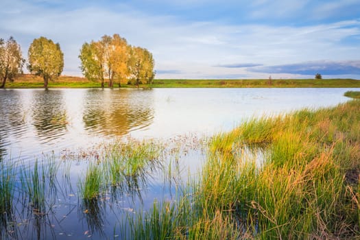 Autumn Forest River Lake Landscape. Sunny Day, Blue Sky