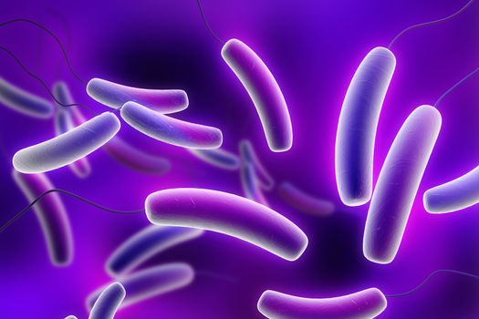 Digital illustration of Coli bacteria in colour background