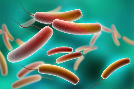 Digital illustration of Coli bacteria in colour background