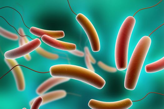 Digital illustration of Coli bacteria in colour background