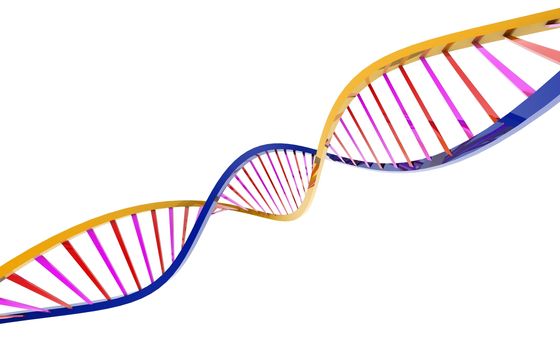 Digital illustration of a dna in white background