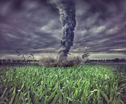 large tornado over the meadow (photo  elements compilation) 