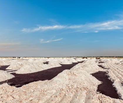 Salt mine at Sambhar Lake, Sambhar, Rajasthan, India