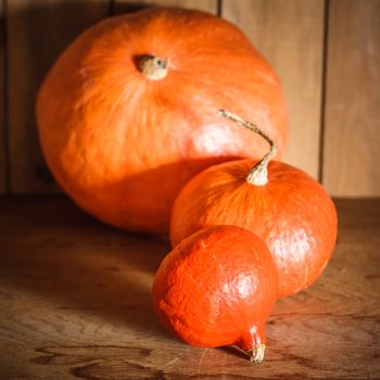 Pumpkins on grunge wooden backdrop, background table. Autumn, halloween, pumpkin