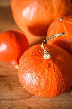 Pumpkins on grunge wooden backdrop, background table. Autumn, halloween, pumpkin