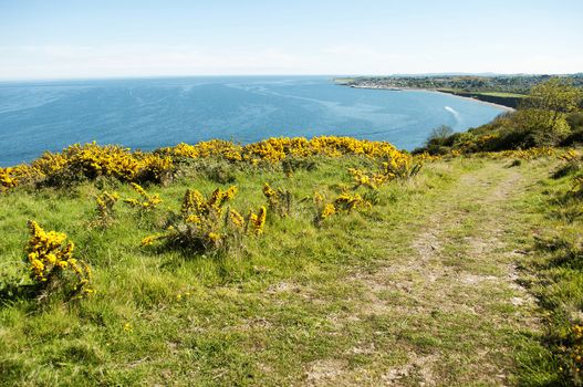 Greystones (Irish: Na Clocha Liatha) is a coastal town and seaside resort in County Wicklow, Ireland.