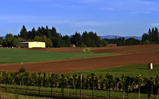 Farming and fields in rural Oregon.