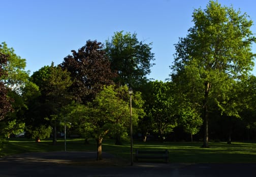 Public park in a neighborhood.