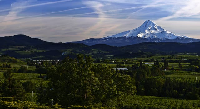Mt. Hood and Hood River valley panorama in Spring Oregon.