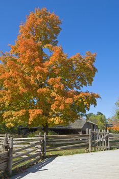 Fall's colors on a street of small village.