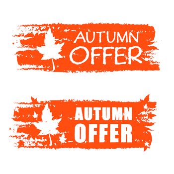 autumn offer - orange drawn banner with text and fall leaf, business concept
