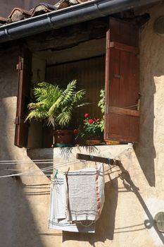 Plants by an open window