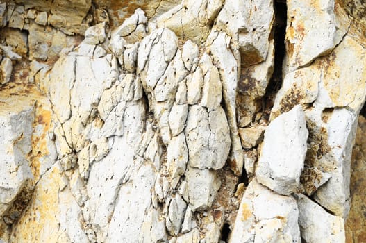 Close Up of a Volcanic Rock in Canary Islands Spain