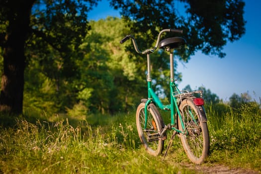 Bicycle Stands On The Footpath In The Forest