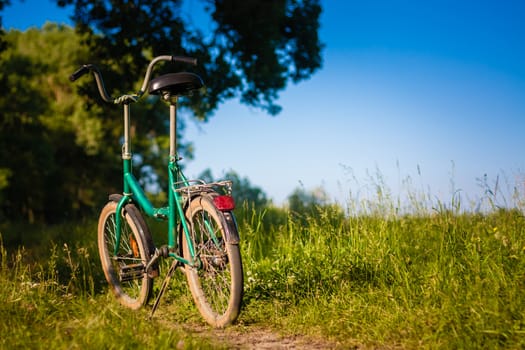 Bicycle Stands On The Footpath In The Forest