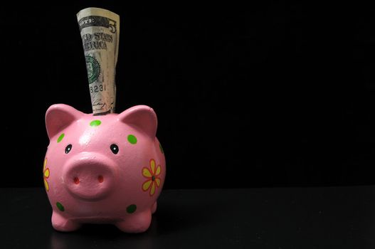 Save Money with One Pink Pig Piggy Bank