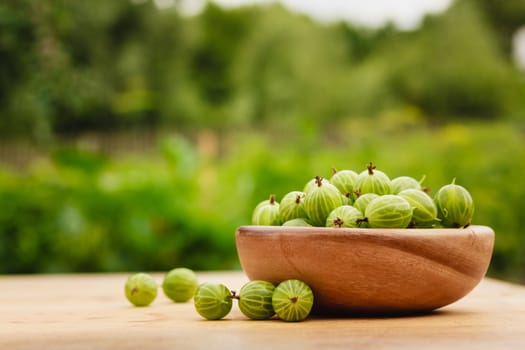 Old Wooden Bowl Filled With Succulent Juicy Fresh Ripe Green Gooseberries On An Old Wooden Table Top. Green Background