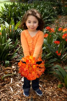 Sweet little girl holding a bunch of clivia miniata (bush lilies) picked from the garden