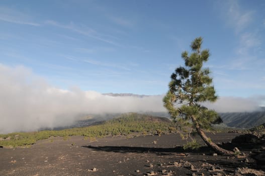 Over the White Clouds on a Valley on a Volcanic Island