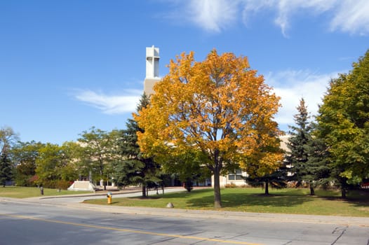 Church on small street of Toronto