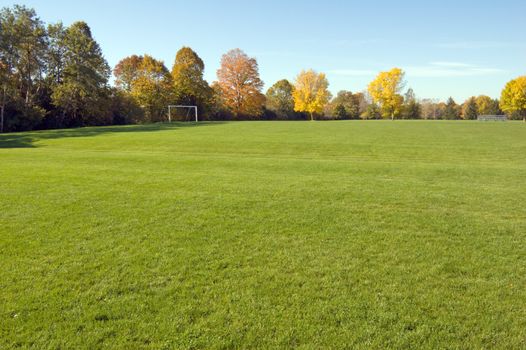 Green grass and colorful trees in one of Toronto park