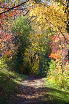 Path in Toronto park in fall season