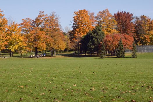 Green grass and colorful trees in one of Toronto park