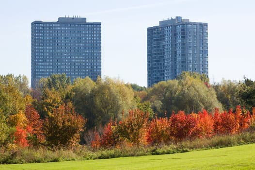 Green grass and colorful trees in one of Toronto park