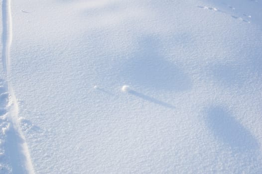 Two snowballs on snow background