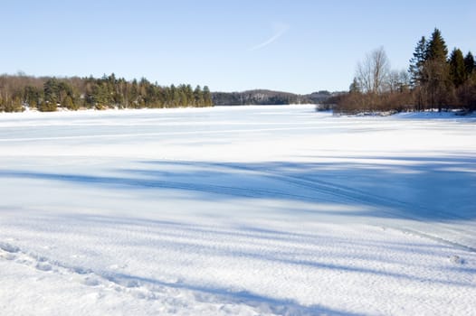 Human tracks in winter forest under snow in Ontario park