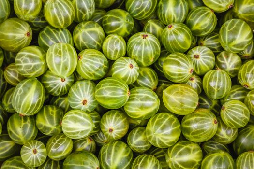 Sweet Fresh Gooseberries Closeup Background.