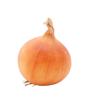 Whole white onion, isolated on a white background