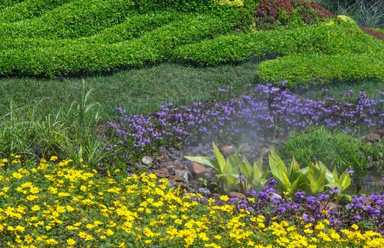 Detail of beautifully landscaped Alpine garden.