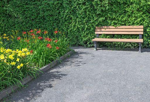 Wooden bench in the sunny flowering garden.