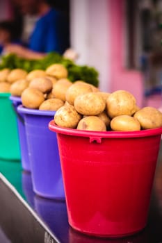 Harvested potatos in colorful buckets.