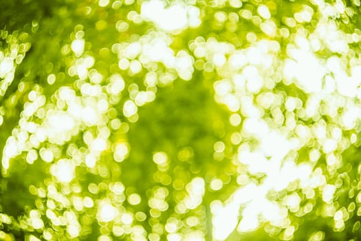 Blurred lights background bright green. Spring bokeh. Abstract summer background