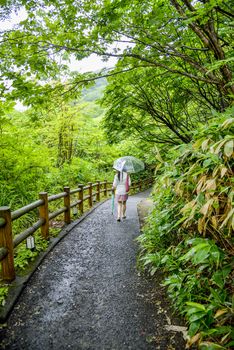 Lady with umbrella walk along the forest