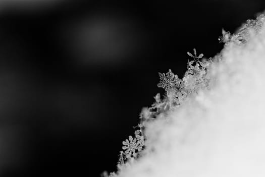 beauty white snowflake crystals on dark background