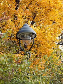 Detail of the lamp in the autumn leaves