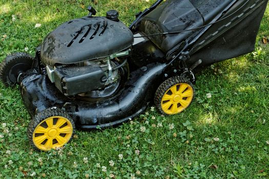 Black lawnmower in the garden lawn the grass with fuel engine