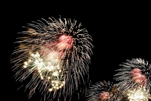 beauty colorful Fireworks Against a Black Sky