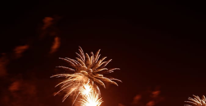 beauty colorful Fireworks Against a Black Sky